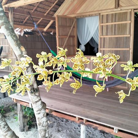 Mambetron Homestay Raja Ampat Pulau Mansuar Exterior foto